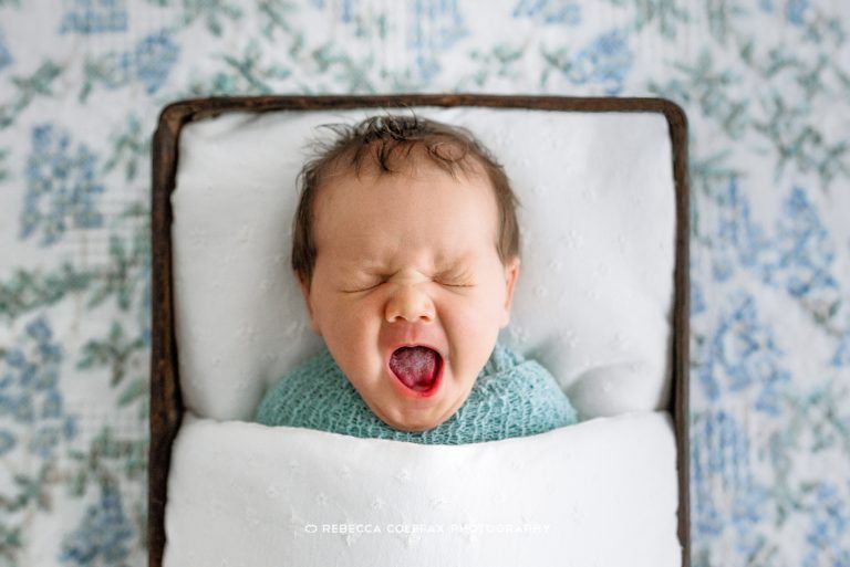 Rebecca Colefax fala sobre a autenticidade de suas fotografias de newborn